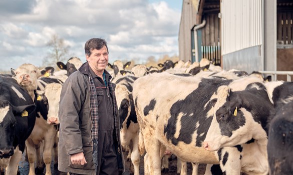 a man standing next to a group of cows